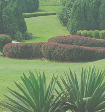 ddos攻击ip软件下载