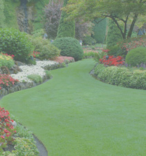 服务器攻击方式